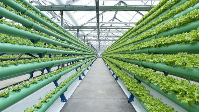 T-mobile představuje technologie budoucnosti. včetně aquaponické farmy Future Farming