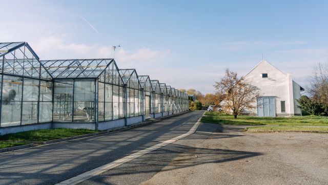 Future Farming bude stavět další aquaponickou farmu v Přerově nad Labem