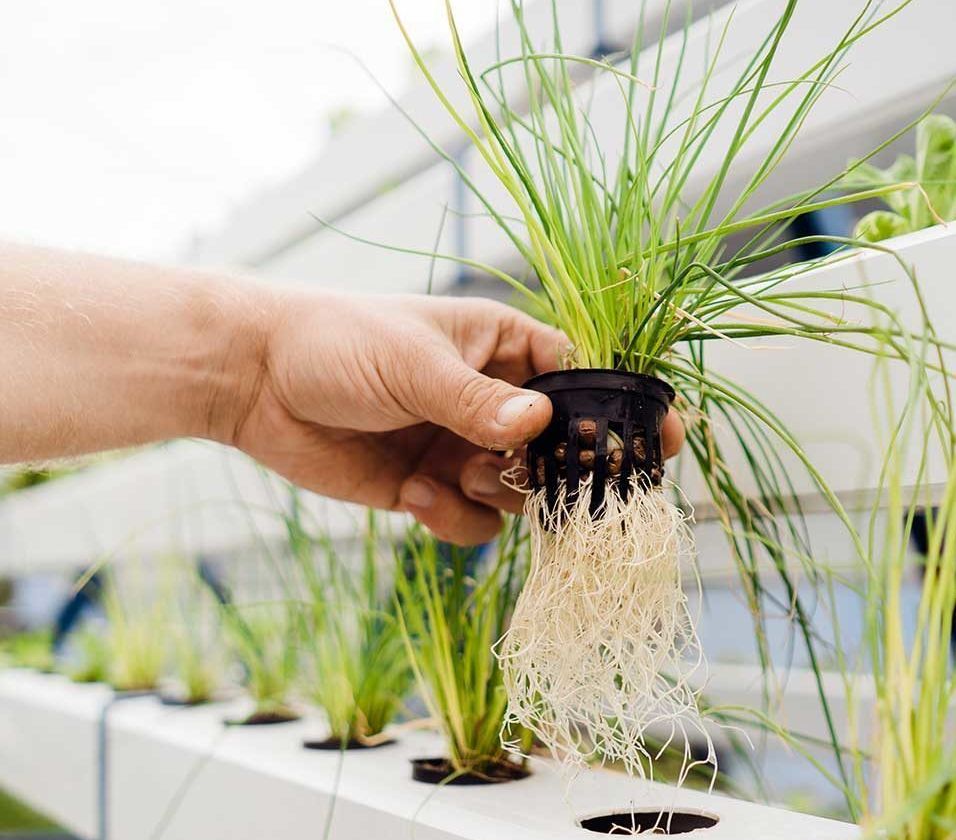 Future Farming pomůže Brnu v boji s klimatickými změnami