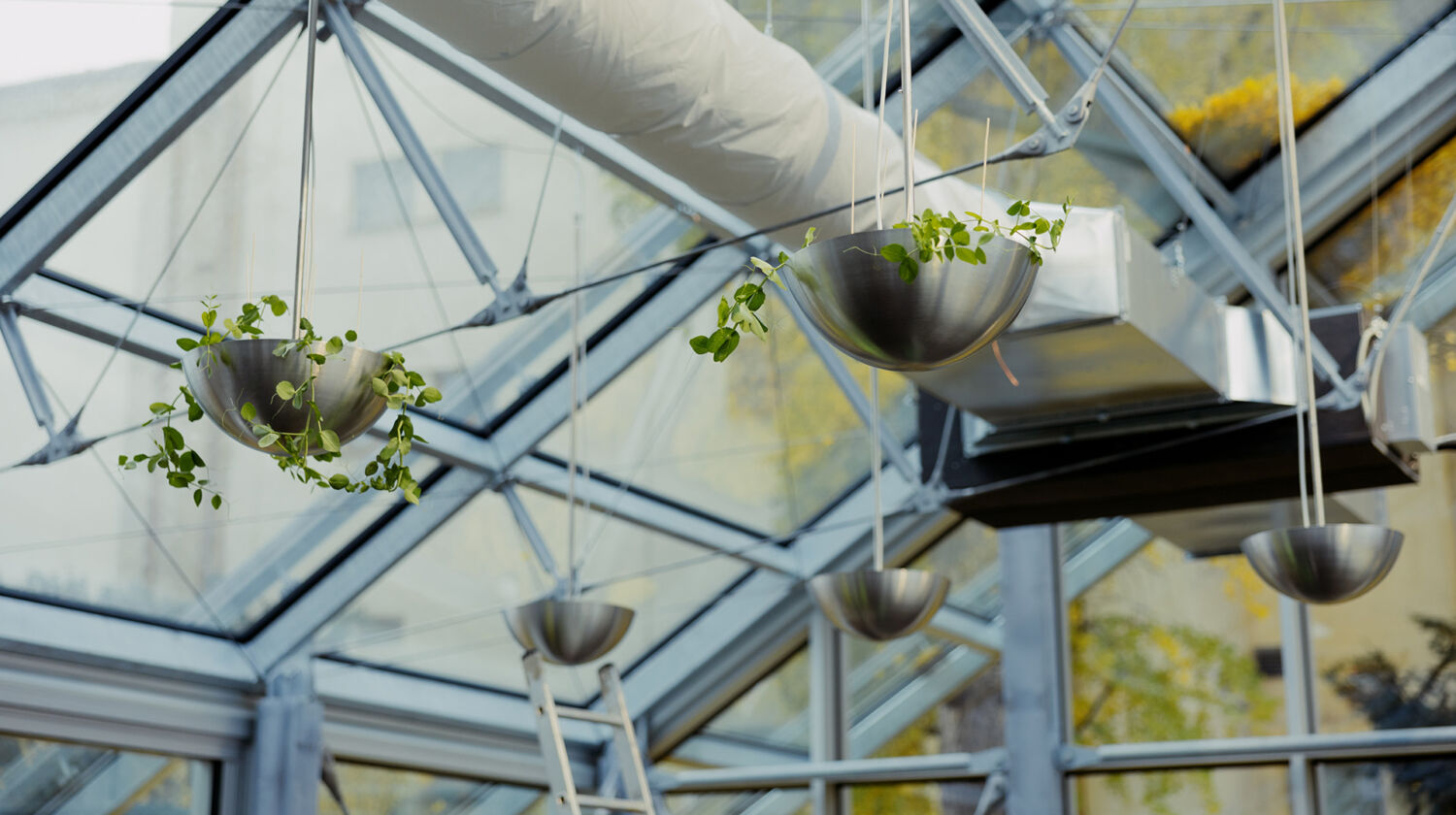 Future Farming představuje unikátní technologii Aeroponie