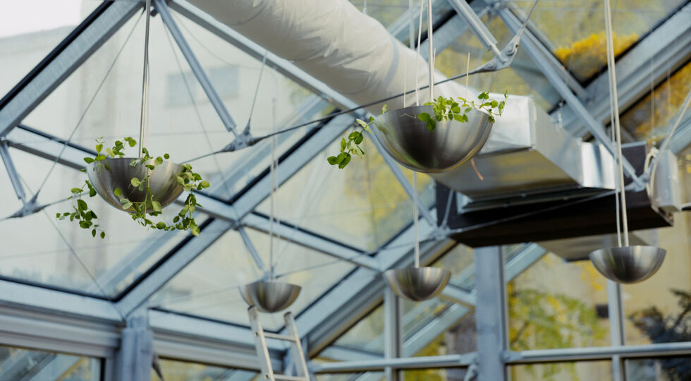 Future Farming představuje unikátní technologii Aeroponie