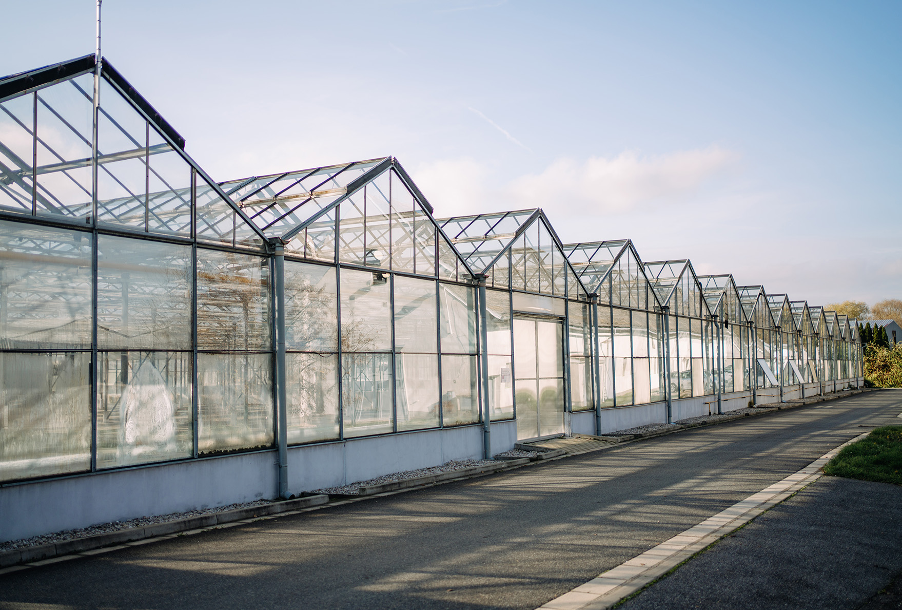 Aquaponická farma Přerov nad Labem