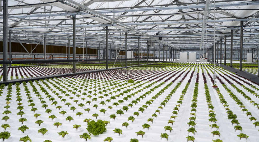 Future Farming uvedl do provozu novou technologii – DWC II.