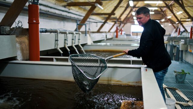 Future Farming se zapojí do financování dalšího rozvoje Rybí zahrady