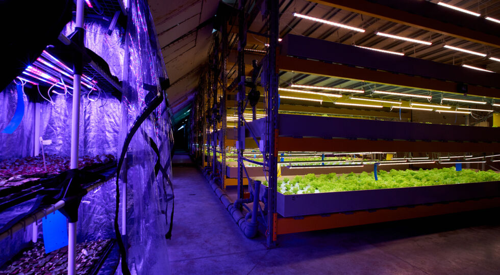 Portál Denik.cz představuje nejnovější akvizici Future Farming. Farmu Rybí zahrada