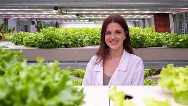 Future Farming má nové poznatky pro vývoj a efektivní výživu plodin v aquaponii